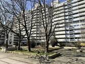 Building Exterior Treeside - 