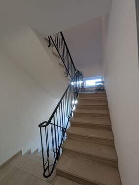 PXL_20251003_143136400.jpg - 