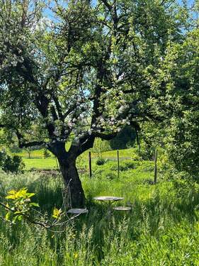 Bild3 - 7 Zimmer Doppelhaushälfte in Argenbühl