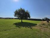 Pferdewiese 2 - 