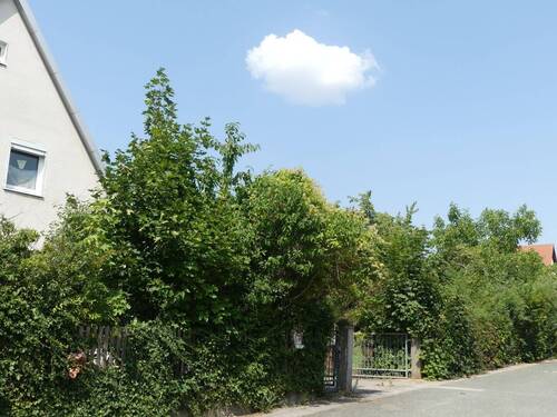 Bild 2 - 5 Zimmer Einfamilienhaus zum Kaufen in Heilsbronn