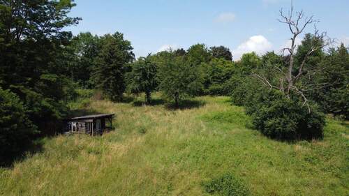 Bild 13 - 