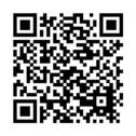 31046387
