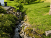 Naturnahes Umfeld mit kleinem Bachlauf - 
