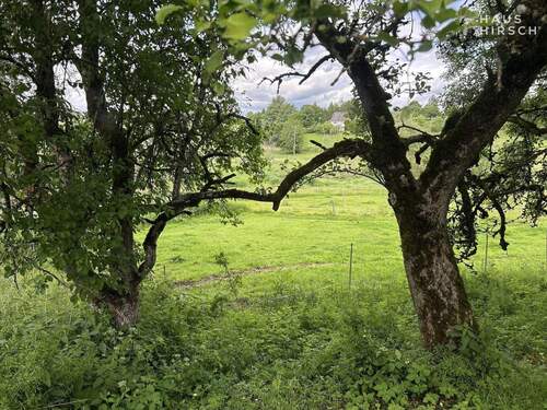 2 - Grundstück in Neuhausen ob Eck zum Kaufen