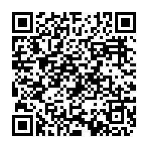 QR-Code - 