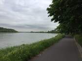 Rheinlandschaft - 