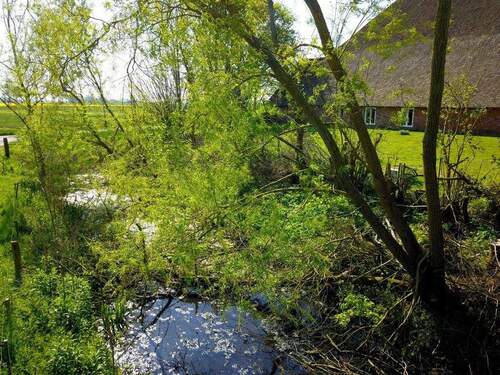 Idyllische Umgebung - 3 Zimmer Etagenwohnung in Tönning