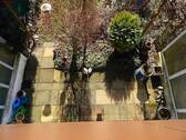 DSCN9591.JPG - 