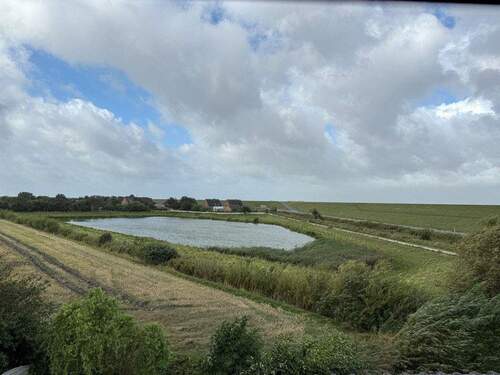 Blick auf den Außendeich - 