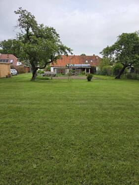 Grundstück mit Haus - 3 Zimmer Doppelhaushälfte in Altenpleen
