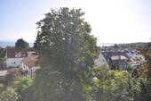 Teilsee- / Alpenblick - 