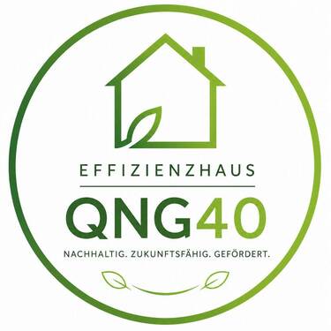 QNG Logo - 