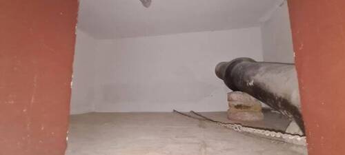 20210820_181202_resized_1 - 