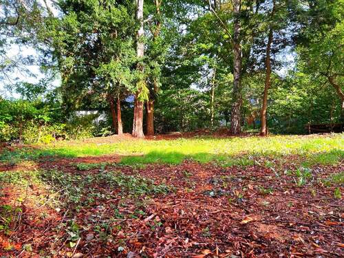 Garten - Grünes Paradies im Hamburger Westen - Ruhe, Natur und Raum für Ihre Träume
