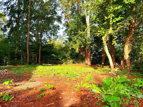 Garten - Grundstück in Hamburg