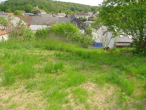 4 - Grundstück in Weilrod zum Kaufen