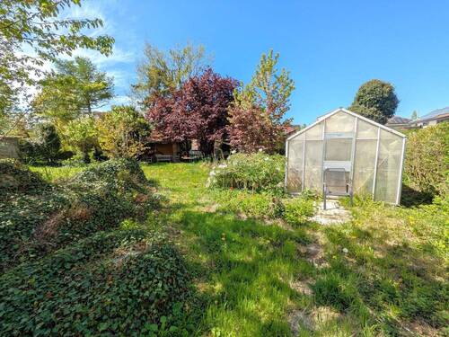 Garten mit Gewächshaus - 
