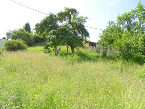 3 - Grundstück in Weilrod