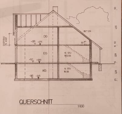Querschnitt - 