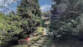 Hinteransicht - 