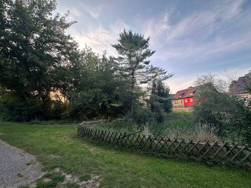 Im Wiesengrunde/Birkenhang - 