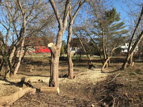 Boden des Baugrundstückes - 