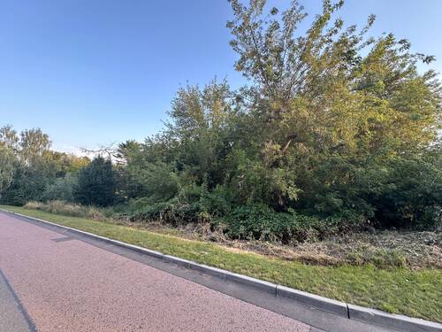 Straßenansicht Birkenhang - 