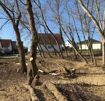 Letztes Baugrundstück in Neubausiedlung (B-Plan) von Hohenmölsen mit ca. 720 m²