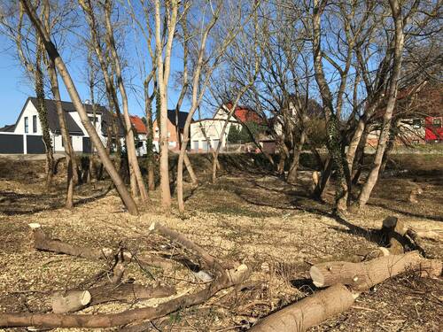 Bodengegebenheiten des Baugrundstücks - Grundstück in Hohenmölsen zum Kaufen