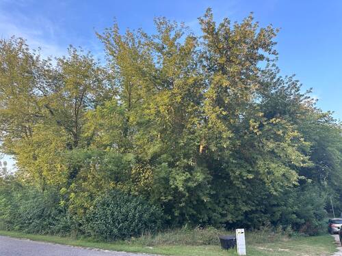 Ansicht der Bauinsel - 