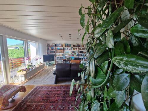 Wohnzimmer von Pfanze Richtung Weinberge.jpg - 