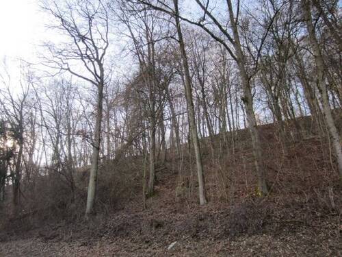 Bild 8 - 