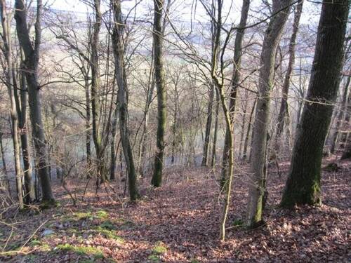 Bild 9 - 