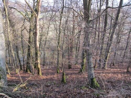Bild 10 - 