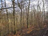 Bild 11 - 