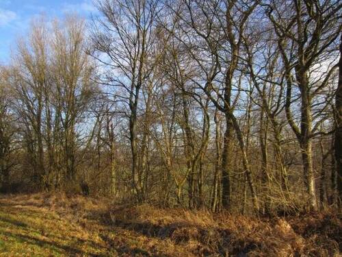 Bild 12 - 