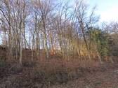 Bild 5 - 