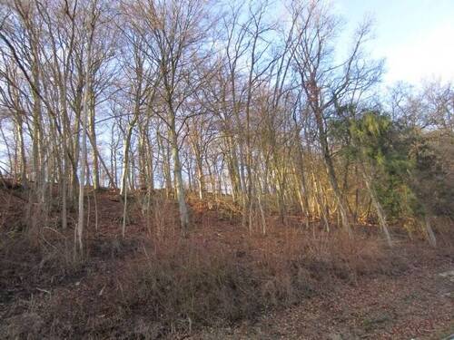 Bild 5 - 