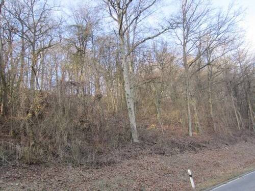 Bild 6 - 