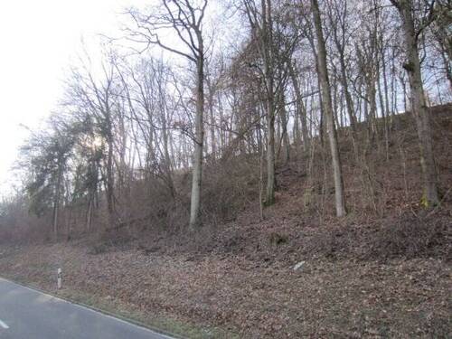 Bild 7 - 