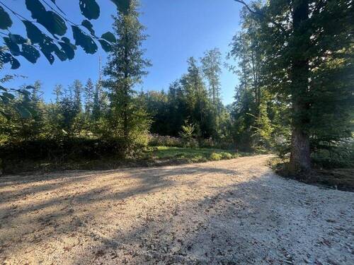 Grundstück - Grundstück in Tiefenbach zum Kaufen