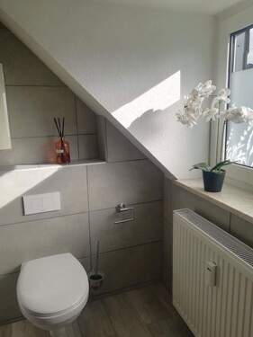 Viel Licht - 
