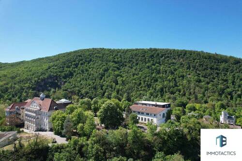 Ausblick - 