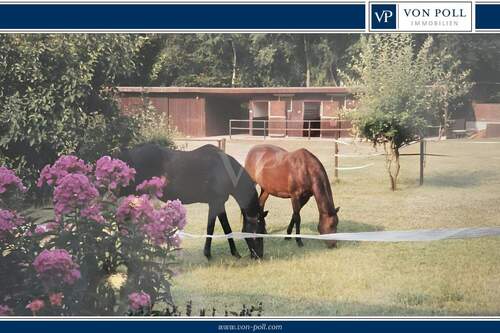 Titelbild - Ein Traum für Pferdehalter - 489.000,00 EUR Kaufpreis, ca.  150,00 m² Wohnfläche