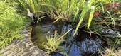 Bild 12 - 