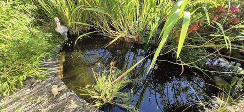 Bild 12 - 