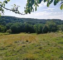 Wohnparkmöglichkeit mit ewigem Panorama, oder Alleinlage in einer grünen Gegend von Zalaegerszeg,