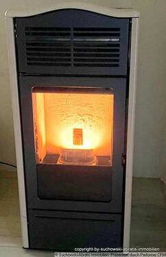 Wohnzimmer Kaminofen-Pelletofen 03 - 