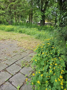 Bild 26 - 